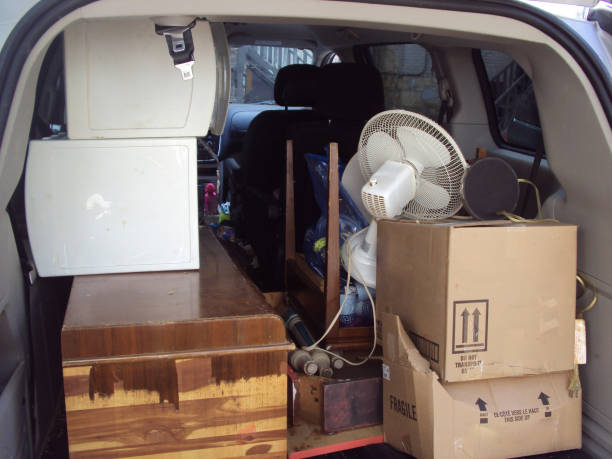 Best Yard Waste Removal  in Melvindale, MI